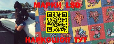 стафф Заволжье