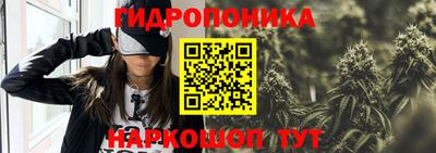 стафф Заволжье