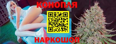 стафф Заволжье