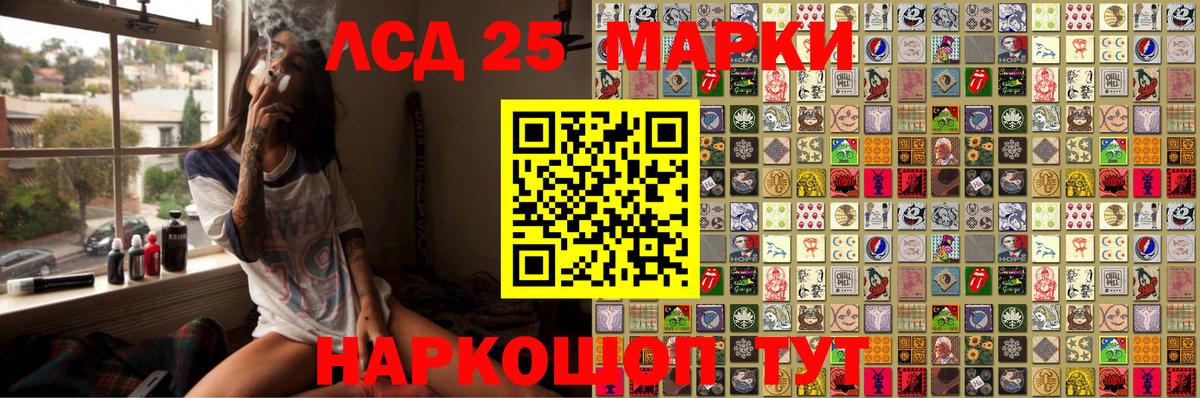 Марки NBOMe 1,8мг  Вход с VPN  Марки NBOMe  Лесной 